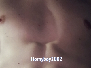 Hornyboy2002