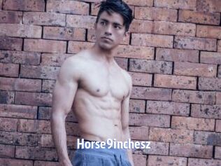 Horse9inchesz