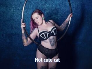 Hot_cute_cat