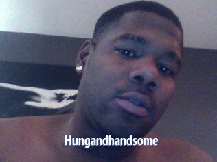 Hungandhandsome