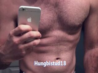 Hungbistud18