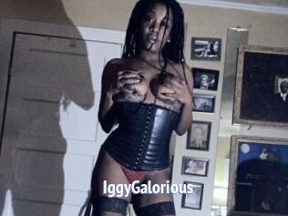 IggyGalorious