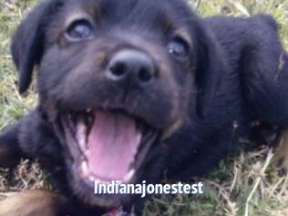 Indianajonestest