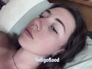 Indigoflood