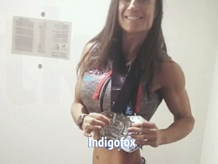 Indigofox