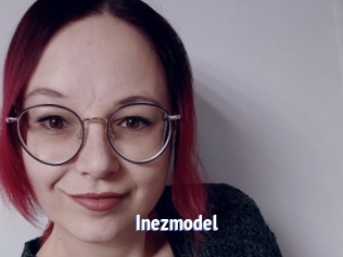 Inezmodel