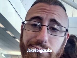 Jakesbigsnake
