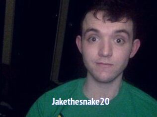 Jakethesnake20