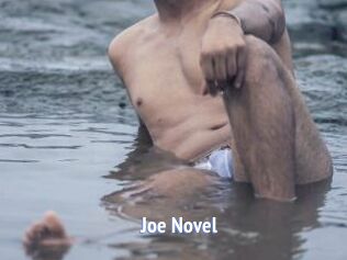 Joe_Novel