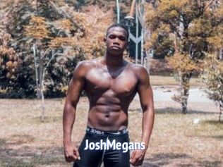 JoshMegans