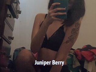 Juniper_Berry