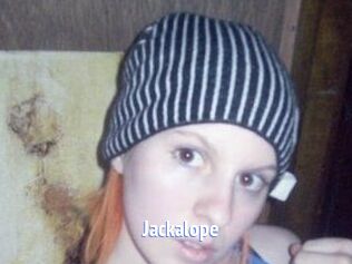 Jackalope