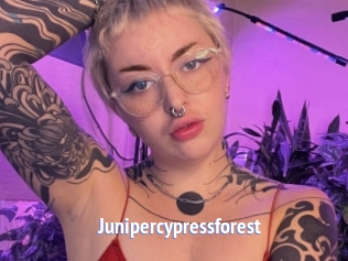 Junipercypressforest