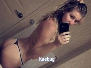 Kaebug