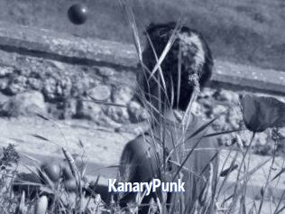 KanaryPunk