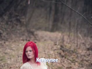 Kerosynee