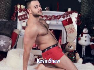 KevinShaw