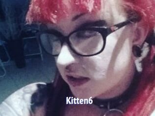Kitten6