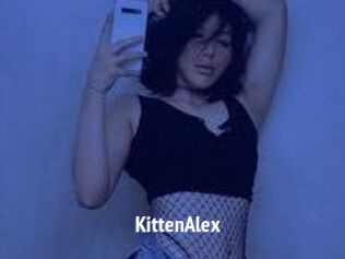 KittenAlex