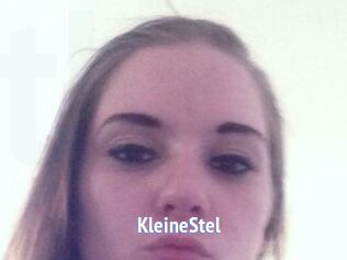 KleineStel