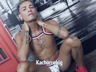 Kachorrobig