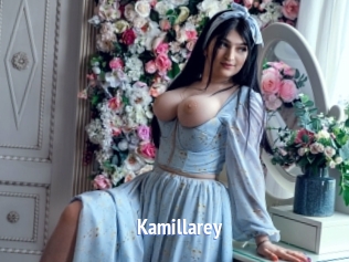 kamillarey Telefon Kontakte