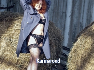 Karinarood