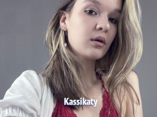kassikaty Telefon Kontakte