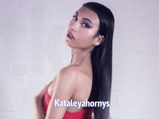 kataleyahornys Telefon Kontakte
