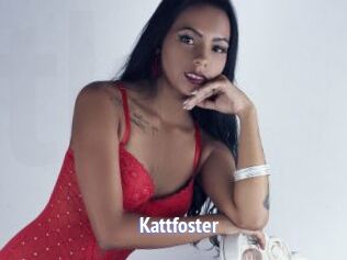Kattfoster
