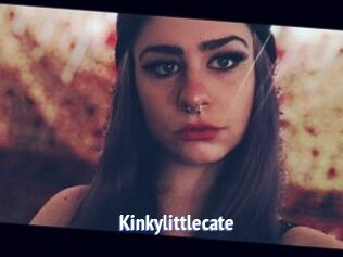 Kinkylittlecate
