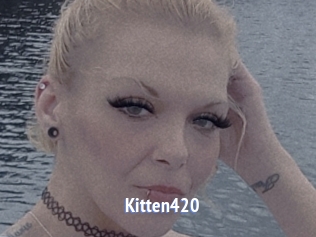 Kitten420