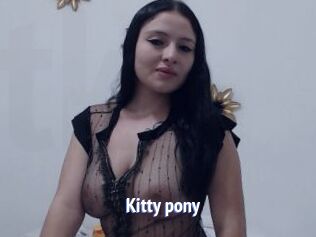 Kitty_pony