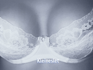 Kleineslet