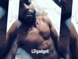 LDgadget