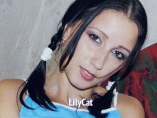 Lily_Cat_