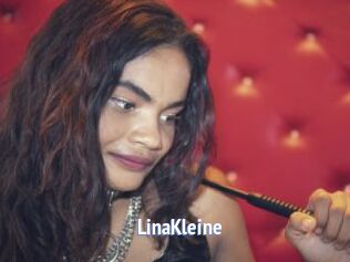 LinaKleine