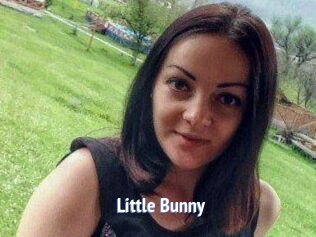 Little_Bunny_