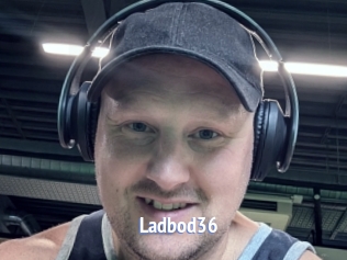 ladbod36 Telefon Kontakte