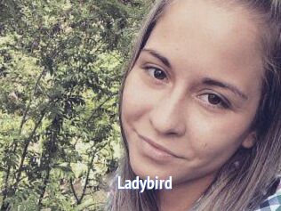 Ladybird