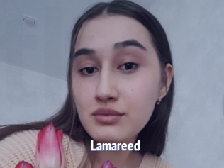 Lamareed