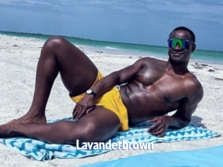 Lavanderbrown