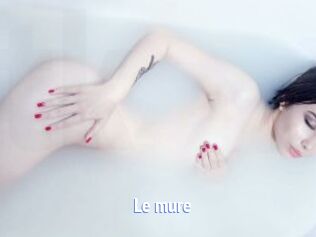 Le_mure
