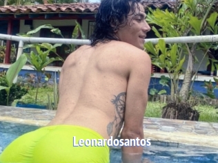 Leonardosantos