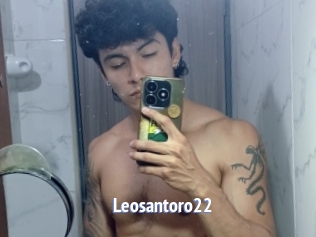 leosantoro22 Telefon Kontakte