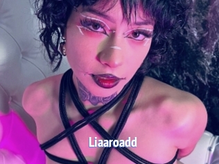 Liaaroadd