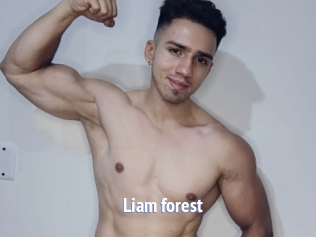 Liam_forest