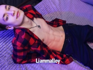 liammalloy Telefon Kontakte