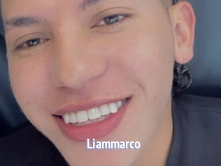 liammarco Telefon Kontakte