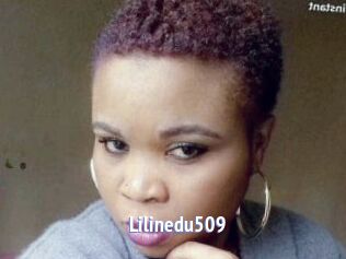 Lilinedu509